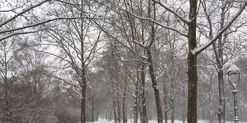 \u2728 NEU bei Best of Mainz: Mainz im Winterlicht! \u2728