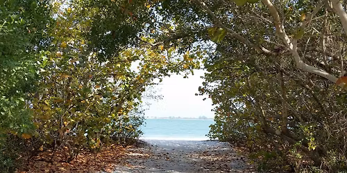 Monthly Walking Meditation Group with Caloosahatchee Mindfulness 