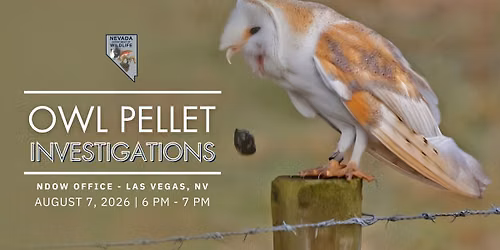 Owl Pellet Investigations