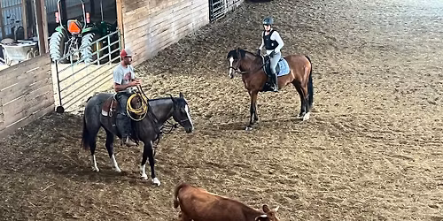 Intro to Cattle Mini-Clinic: February 2026