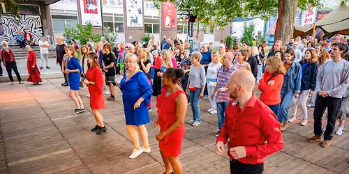 Zomersnelcursus Cubaanse Salsa met Mich\u00e8le Martens