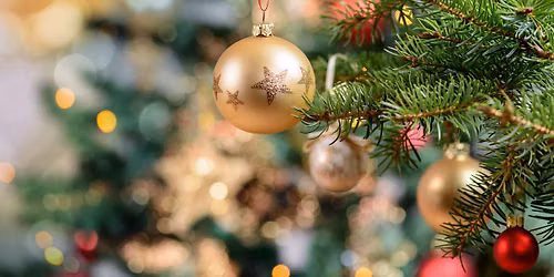Fodder Christmas Extravaganza 