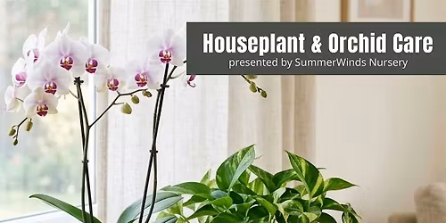 Houseplant & Orchid Care