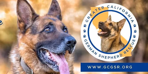 GERMAN SHEPHERD ADOPTIONS