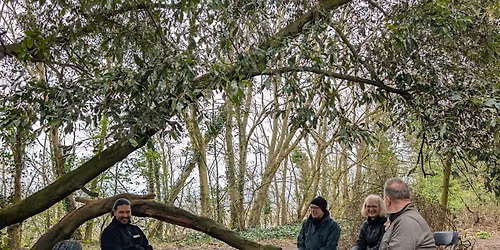 Mindfulness & Walk at Clifton Grove