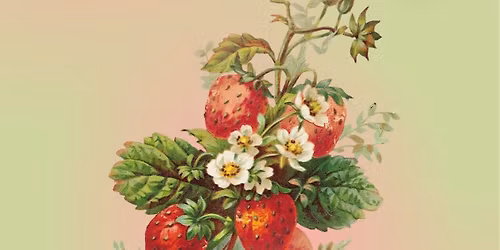 Custom Perfume Creation with Harbinger Bath & Body