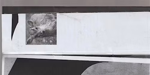 Between the Leaves: Hoofnotes and Sneaky Media with Becky Lyon