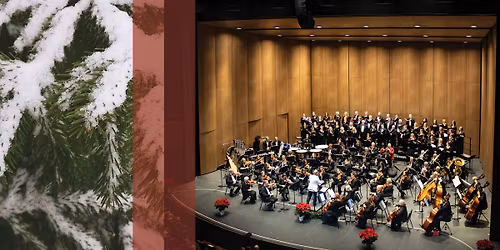 Inside the Snowglobe