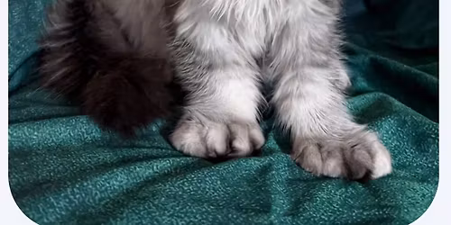 Rhythm Sanctuary ~ INITIATE ~ w\/Calagna