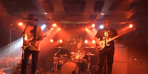 Electric Lady Band live at Frankies Bar & Grill