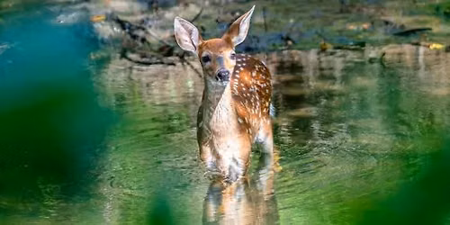 Celebrate World Nature Conservation Day with a Guided Hike!
