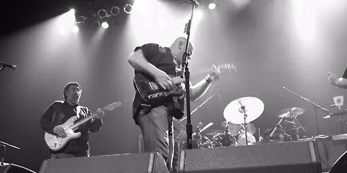 Joe Rock and The All Stars debut at Twisted Cow Distillery