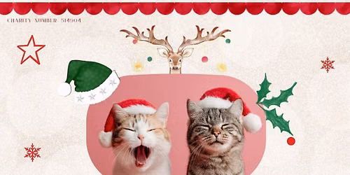 Christmas Fundraiser