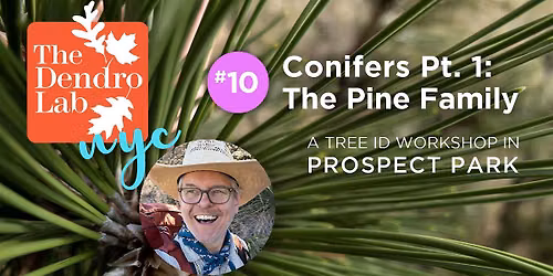Conifer Identification, Part 1, in Prospect Park w\/Carey Russell