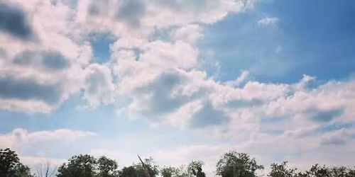 50+ Walking Series with AARP: Meadow Meander at Audubon