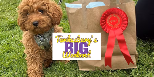 Dog Show at Tewkesbury's Big Weekend