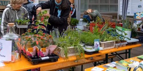 Gr\u00fcner Samstag in Nieder-Olm