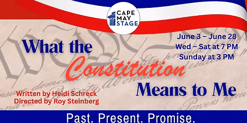 What the Constitution Means to Me