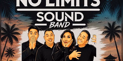 Morton Grove Summer Concert series presents No Limits Sound Band