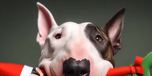 Coombe Abbey - Post Christmas Turkey offload!