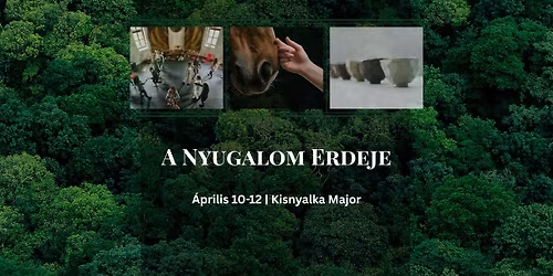 A Nyugalom Erdeje - Elvonul\u00e1s