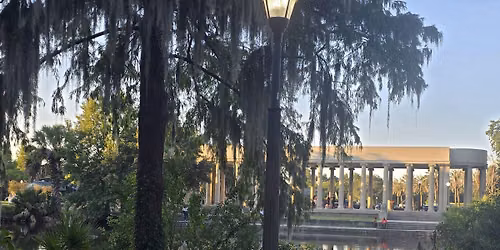 Vibrational Healing in City Park