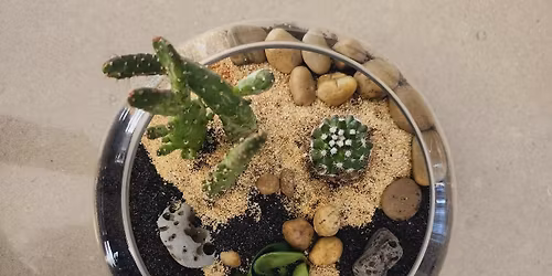 SINGLE CLASS - Create Your Own: Dish Garden