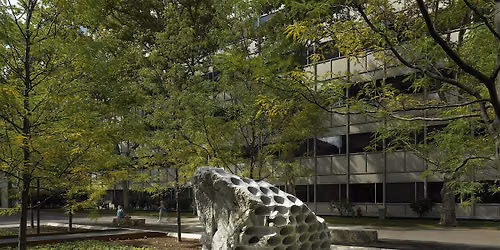 Pedaling by Public Art