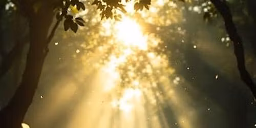 SOFTEN INTO STILLNESS - AN IREST\u00ae YOGA NIDRA JOURNEY