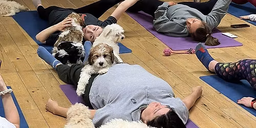 Puppy Yoga July 18