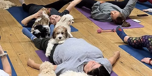 Puppy Yoga July 18