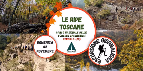 Le Ripe Toscane