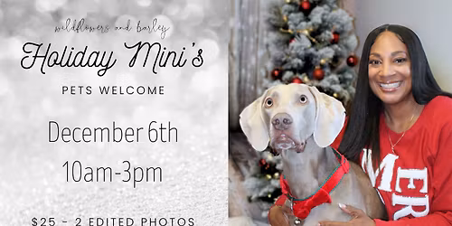 Holiday Mini Photography Sessions