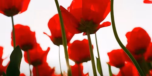Southport Remembrance Dinner 2025