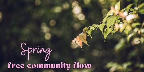 Free Community Flow for Spring