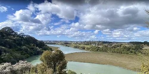 Archies Lookout Track: She Walks NZ