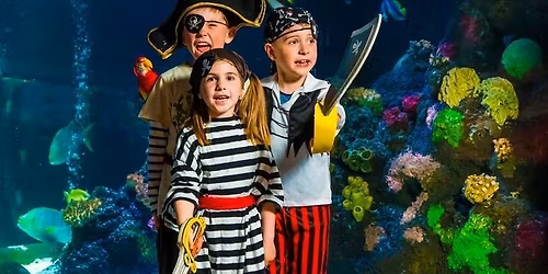 Pirate Meet and Greets
