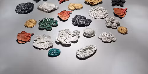 Exhibition | JamFactory ICON Julie Blyfield: Chasing a Passion