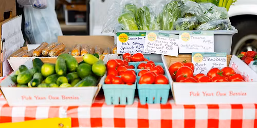 Holyoke Farmers' Market Weekly Tuesday Market