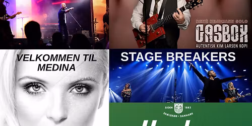 MUSIK I SKOVEN 2026 -SK\u00c6LSK\u00d8R