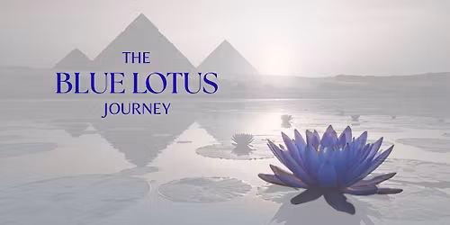The Blue Lotus Journey