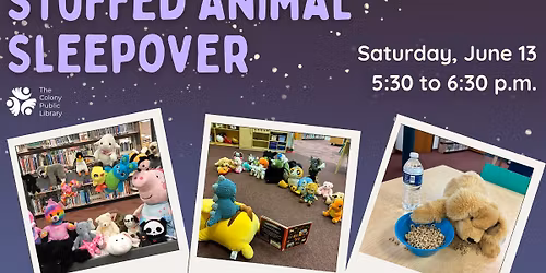 Stuffed Animal Sleepover
