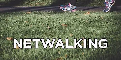 October Netwalk
