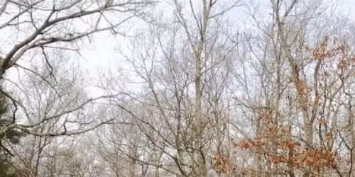 Ladies Low Gear March Ride