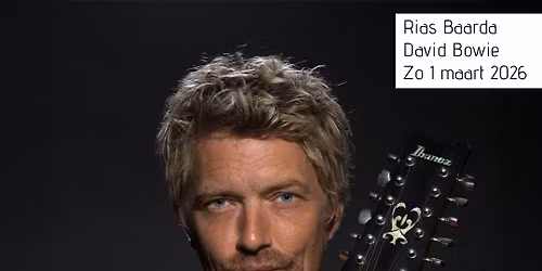 Rias Baarda - David Bowie songs