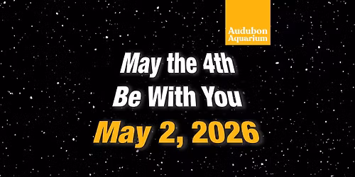 May the 4th Be With You at Audubon Aquarium