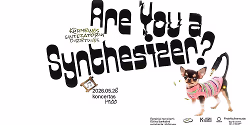 Are you a synthesizer? | koncertas