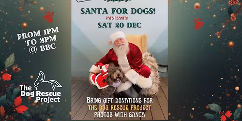 \ud83c\udf85 SANTA FOR DOGS! \ud83d\udc3e