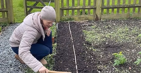 Garden tools of the trade: Which are the best tools for tackling most garden jobs and how to give th