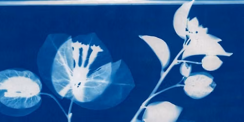 The Land Tells Our Stories Artist Workshop: Cyanotype Silk Painting with Ella Mahoney